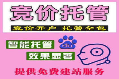 数据分析与信息流大师的决策过程